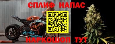 альфа пвп Брянск