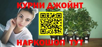 альфа пвп Брянск